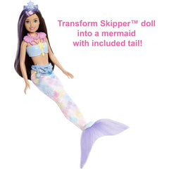 Barbie Mermaid Power Skipper Doll & Accessories