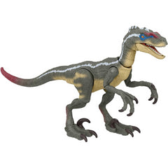 Jurassic World Dinosaur 3-75 Inch Action Figure - Male Velociraptor