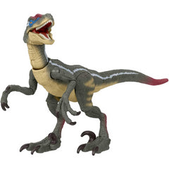 Jurassic World Dinosaur 3-75 Inch Action Figure - Male Velociraptor