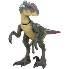 Jurassic World Dinosaur 3-75 Inch Action Figure - Male Velociraptor