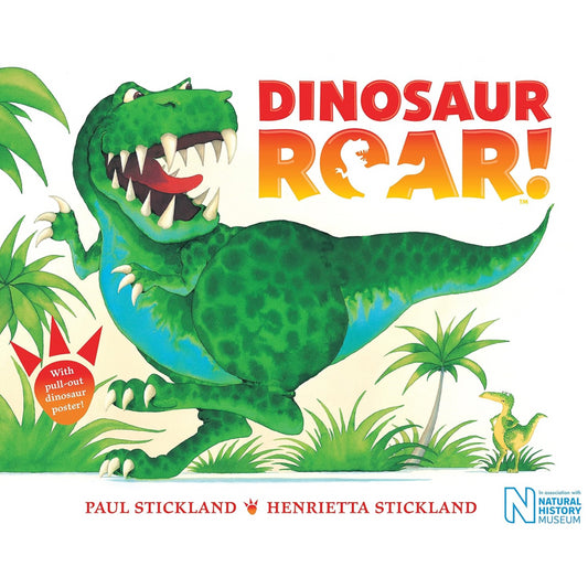 Dinosaur Roar Childrens Book by Henrietta Stickland & Paul Stickland - Paperback