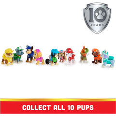 Paw Patrol 10th Anniversary All Paws On Deck Figures 10 Pack