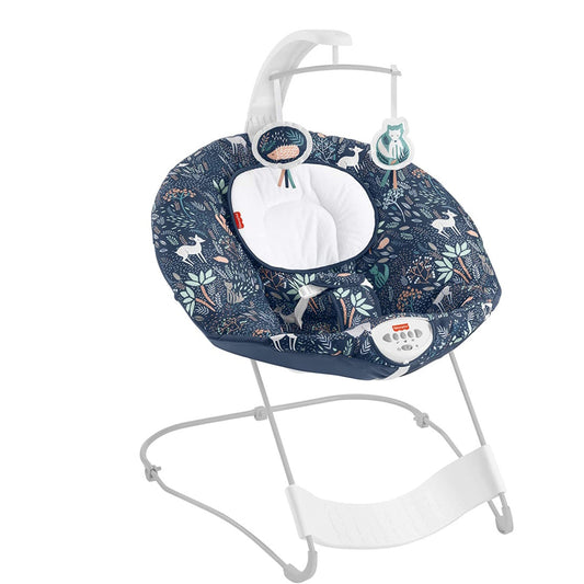 Fisher-Price See and Soothe Deluxe Baby Bouncer