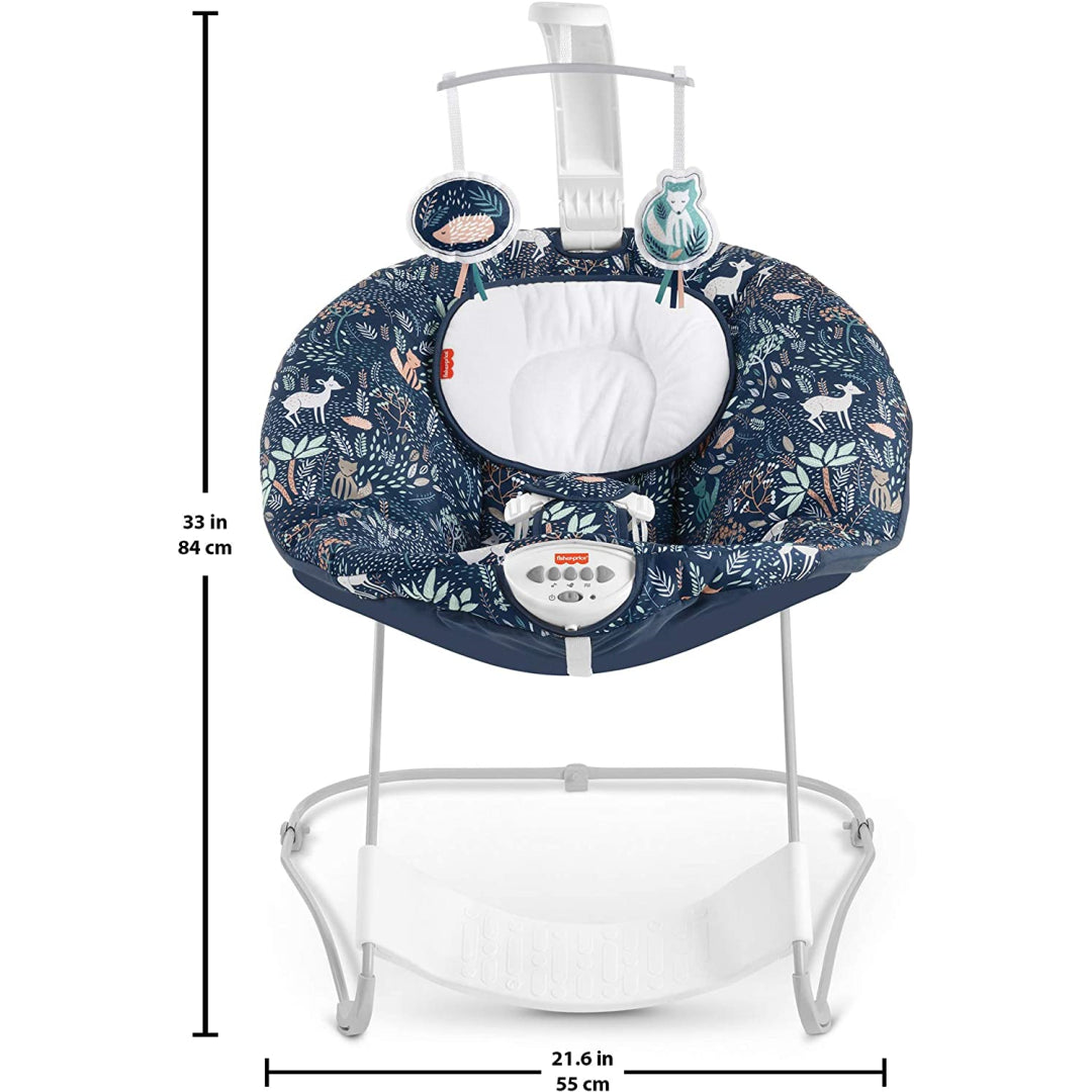 Fisher price see and best sale soothe deluxe bouncer assembly