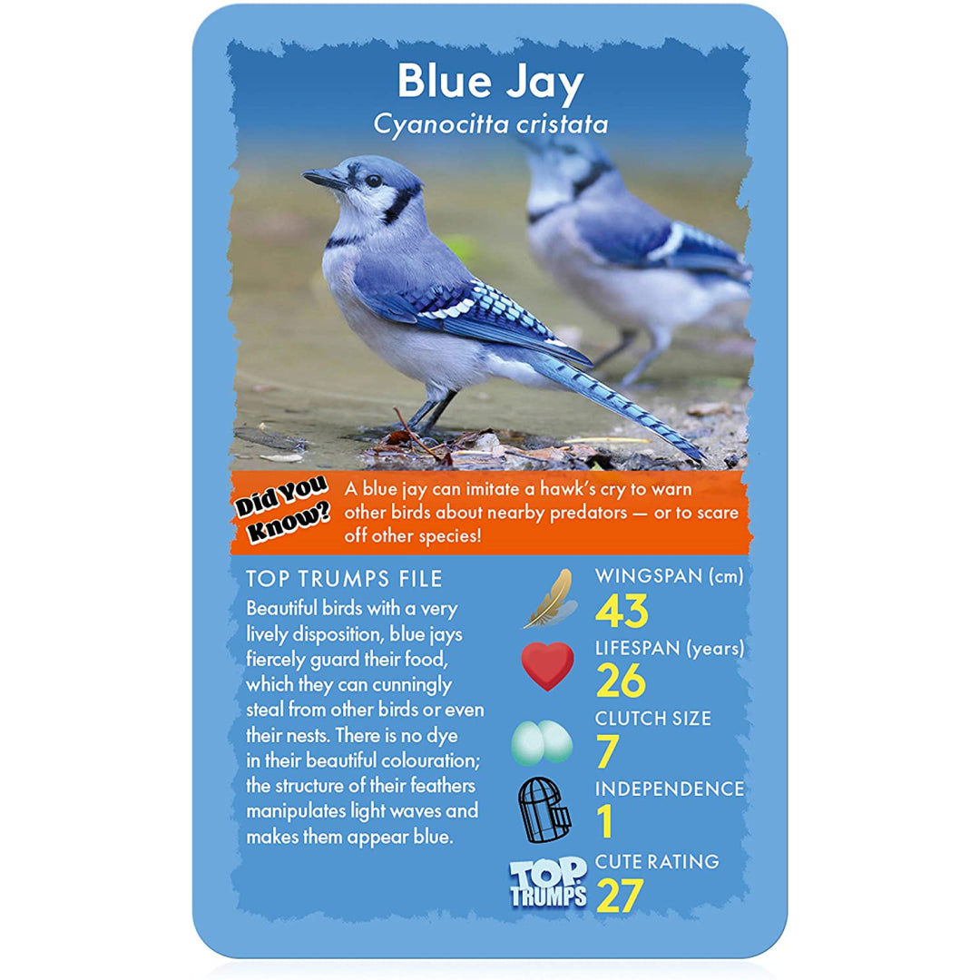 Top Trumps Cards - Birds of the World 037433 - Maqio