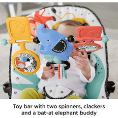 Fisher-Price Signature Style Baby's Bouncer with Removable Toys