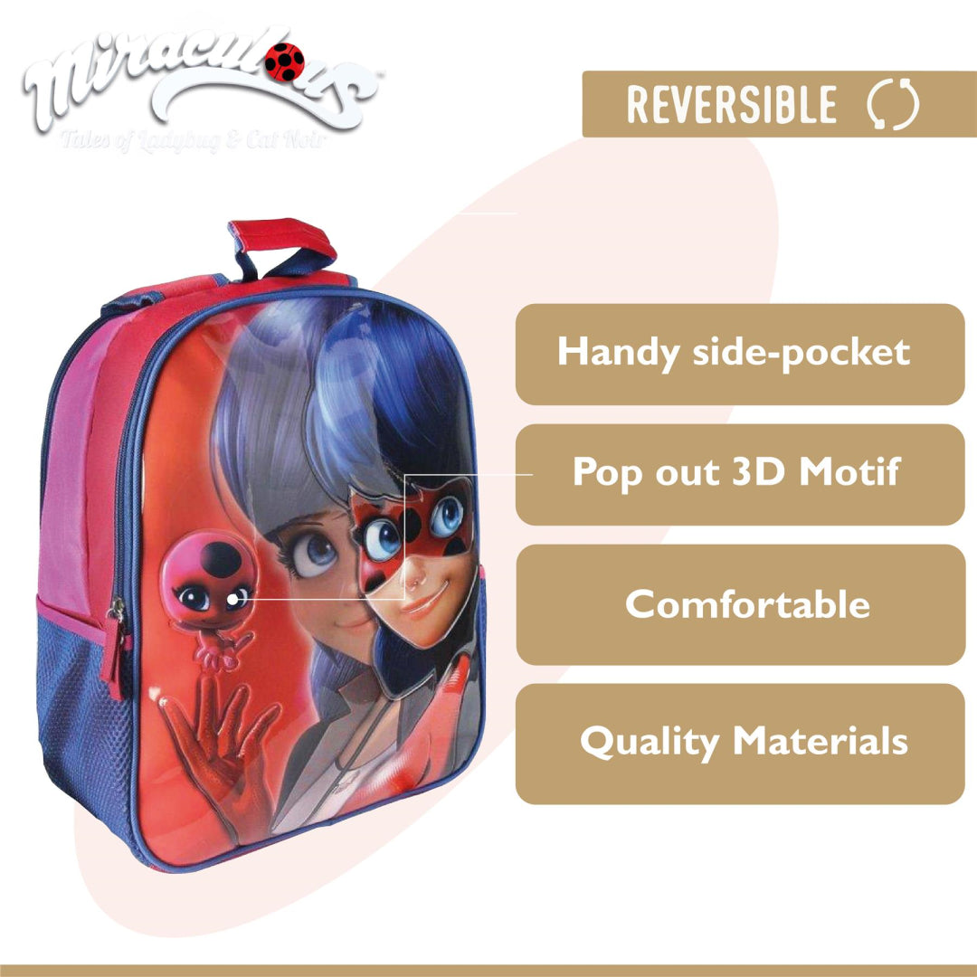 Ladybug and cat noir school online bag