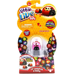 Little Live Pets Little Mini Moving Ladybug In Random Colours