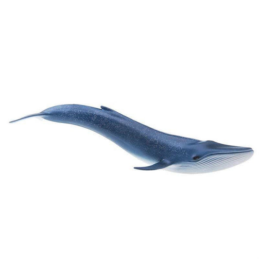 Schleich 14696 Blue Whale Wild Life - Maqio