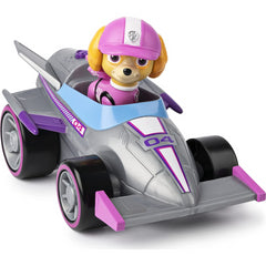 Paw Patrol Race & Go Deluxe Vehicle & Action Figure - Skye