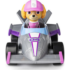 Paw Patrol Race & Go Deluxe Vehicle & Action Figure - Skye